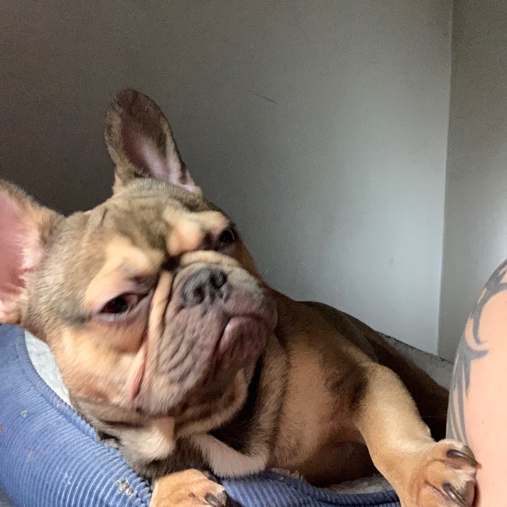 Meet your Posher, Moises